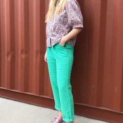 Lollys Laundry buks - Bill green