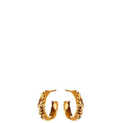 Maanesten øreringe - 9566A AIO Medium guldbelagt