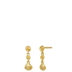 Maanesten øreringe - 9984A Andrina guldbelagt