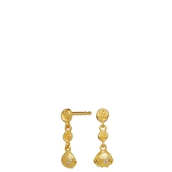 Maanesten øreringe - 9984A Andrina guldbelagt