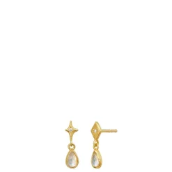 Maanesten øreringe - 10043A Poco guldbelagt