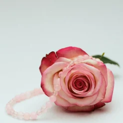 Pernille Corydon halskæde - N-526-G Blush guldbelagt